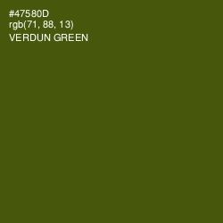 #47580D - Verdun Green Color Image